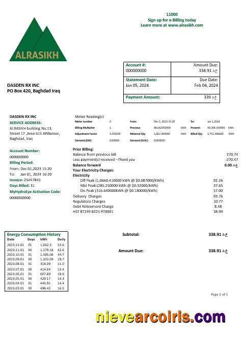Iraq AlRasikh electricity business utility bill
